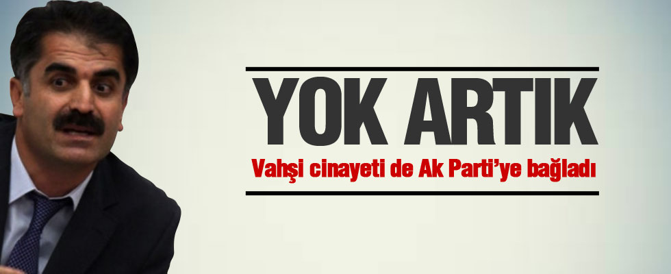 Aygün: İdam ve hadımı doğru bulmuyorum