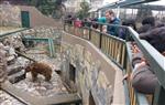 KAĞıTSPOR - İzciler Hayvanat Bahçesini Ziyaret Etti