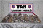 Van’da Uyuşturucu Operasyonu