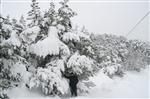 BUZ SARKITLARI - Yozgat’ta Kar Etkisini Sürdürüyor