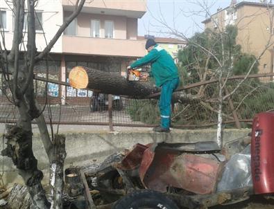 İzmit Belediyesi Seferber Oldu