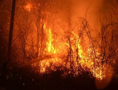 Samsun’da 8 Ayrı Bölgede Orman Yangını Meydana Geldi