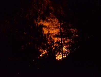 Yakakent'te Orman Yangını Sürüyor