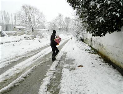 Sokak Hayvanlarına Dost Eli