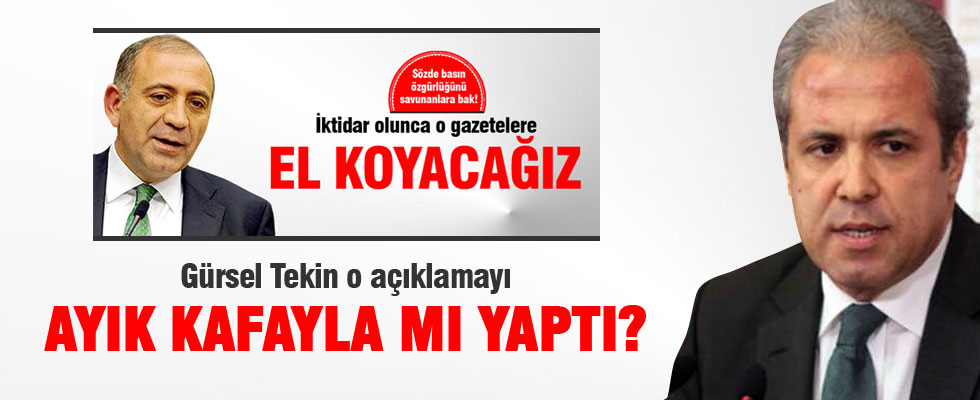 Şamil Tayyar: Gürsel Tekin o açıklamayı ayık kafayla mı yaptı?