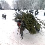 DURANKAYA - Kar Yağışı Çiftçileri Sevindirdi