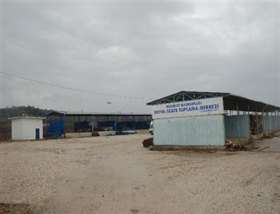 Lapseki'ye Meyve Hali