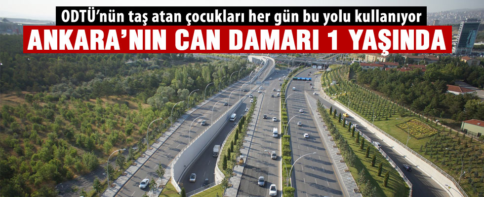 1071 Malazgirt Bulvarı 1 yaşında