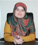 MEZHEP - Av. Hacer Gök, Ak Parti'den Eskişehir Milletvekili Aday Adaylığını Açıkladı