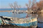 BUZ SARKITLARI - Beyşehir Göl Kıyılarında Kartpostallık Manzara