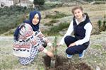 ÖZGECAN ASLAN - Erzin’de Özgecan Hatıra Ormanı Kuruldu