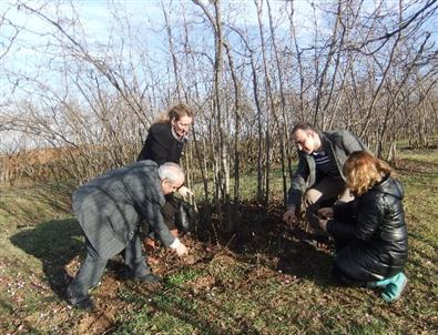 Fındıkta Tarla Okulu Başlatıldı