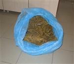 TUTUKLAMA İSTEMİ - Uyuşturucuyla Yakalanan Şahıs Tutuklandı