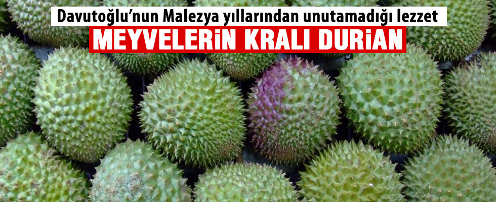Başbakan Davutoğlu'nun en çok sevdiği meyve