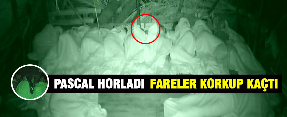 Pascal Nouma horladı fareler korkup kaçtı