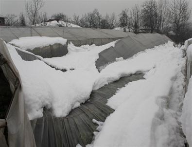 Düzce’de Kar Yağışı Hasar Tespiti Yapıldı