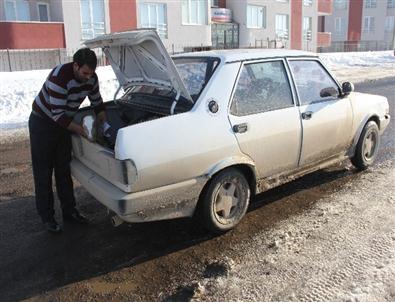 Otomobilin Bagajında Buzağı Telef Oldu İddiası
