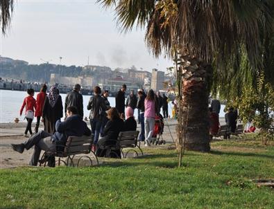 Sinop’taki Mültecilerin Çoğu İraklı