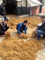 Tütünün Ekimi Serbest, Ticareti Yasak