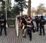 Bolu’da Torbacı Operasyonu