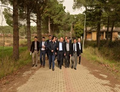 Gtü Kampüsü Göz Kamaştıracak