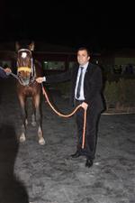 YARIŞ ATI - Yarış Atı Yetiştiricileri Kongreye Gidiyor