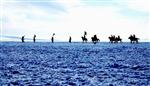 GÜREŞ TAKIMI - Çıldır Altın At Uluslararası İıı. Kış Şöleni Muhteşem Gösterilere Sahne Oldu