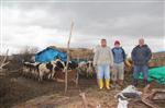 YENIYURT - Dörtyol'da Besiciler Mera İstiyor