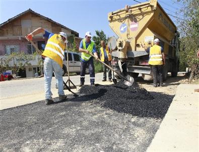 Gebze Fen İşleri Her Yerde