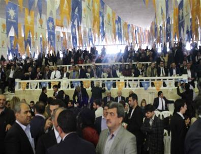 Mardin’de Ak Parti’nin Temayül Oylaması Başladı