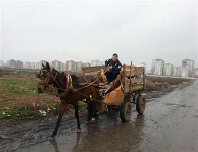 Diyarbakır’da Film Gibi At Arabasıyla Kapkaç Olayı