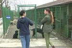 NİLAY DORSA - Nilay Dorsa, Düzce'de Hayvan Barınağını Ziyaret Etti