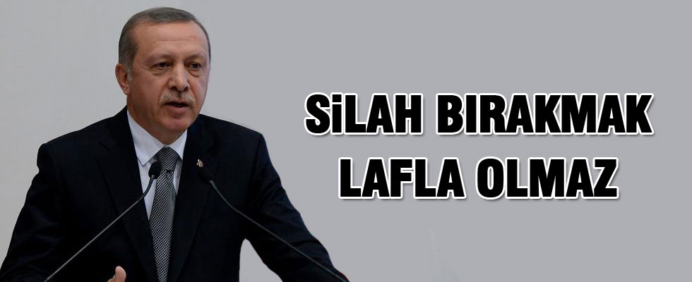 Erdoğan: Silah bırakmak lafla olmaz