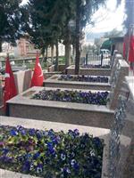 BELEDİYE MEZARLIĞI - Şehitlik Yenilendi