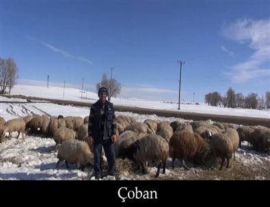 Arpaçay Kaymakamlığı’ndan 'İstiklal Marşı' Klibi