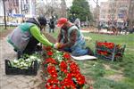 İzmit’te Parklar Çiçek Açtı