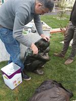 IŞİD - Parçalanan Berkin Elvan Heykeli Onarıldı