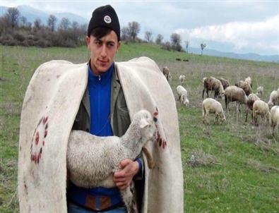 Diplomalı Çobanlar İş Başında