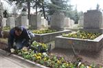 ŞEHİTLİKLER - Büyükşehir Belediyesi Şehitlikleri Çiçeklerle Donatıyor