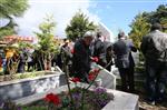 KOCAELİ VALİSİ - Başkan Karaosmanoğlu,  Şehit Mezarlarına Karanfil Bıraktı