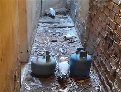 (özel Haber) Bu Da Martı Kurtarma Operasyonu