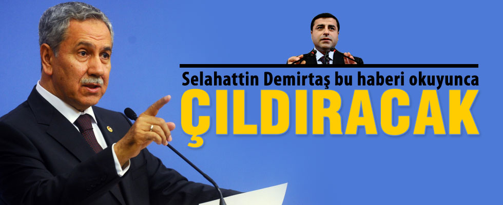 Bülent Arınç'tan Selahattin Demirtaş'a tepki