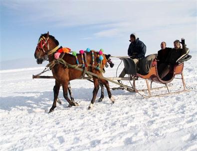 Çıldır Gölünde Atlı Kızak Keyfi