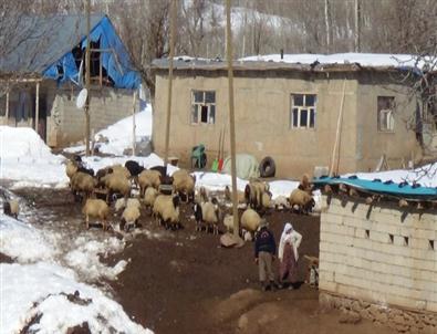 İşık Köyünde İçme Suyu ve Yol Sorunu