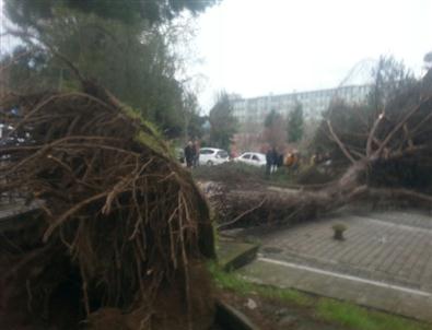 İyi Ki Altında İnsan Yoktu