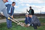 Battalgazi Belediyesi 100 Bin Fidanı Toprakla Buluşturacak