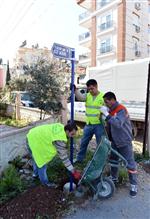 Muratpaşa Sokak Yön Levhalarını Tamamlıyor