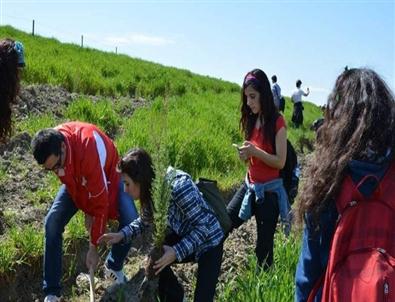 Gençler 5 Bine Yakın Fidanı Toprakla Buluşturdu