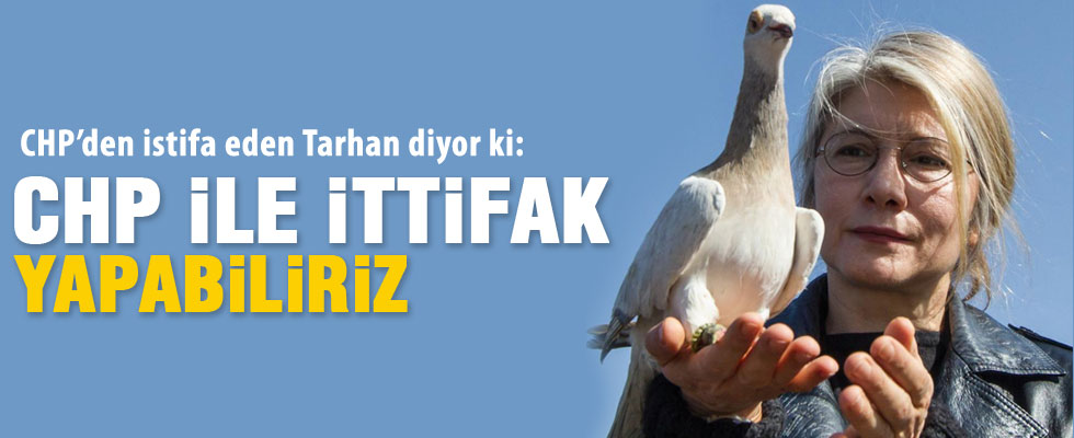 Tarhan, CHP ile ittifak için yeşil ışık yaktı