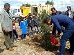 KARACADAĞ - Öğrencilerden Ağaç Dikimi